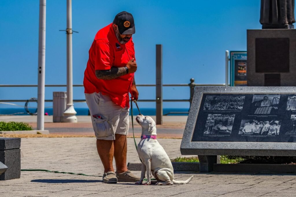 dog obedience training in Virginia Beach